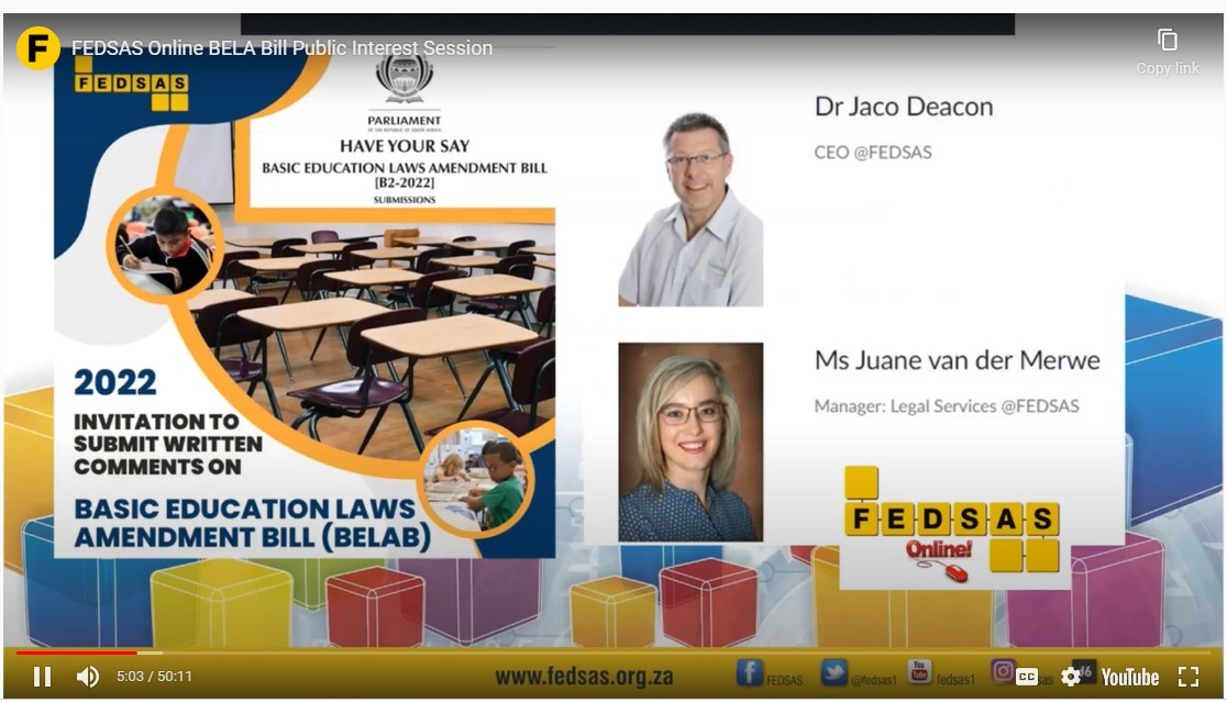Video Image